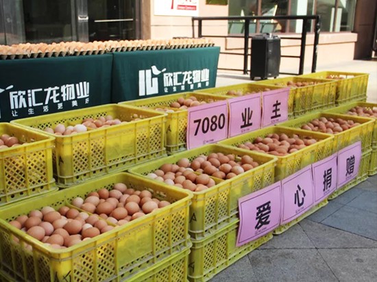 欣汇龙物业：一“蛋”结缘，恋上一座城