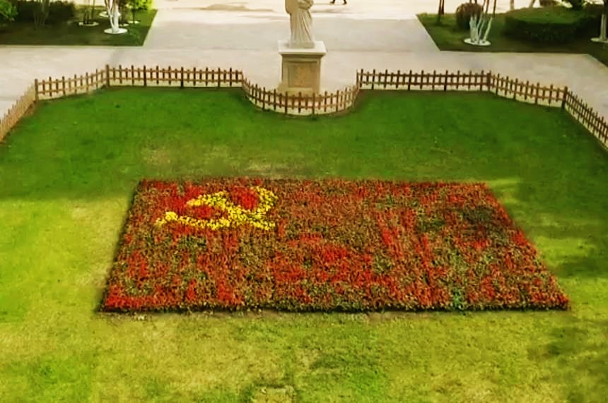 万朵鲜花“织”党旗，拍摄制作MV……哈市小区多种形式庆祝建党百年