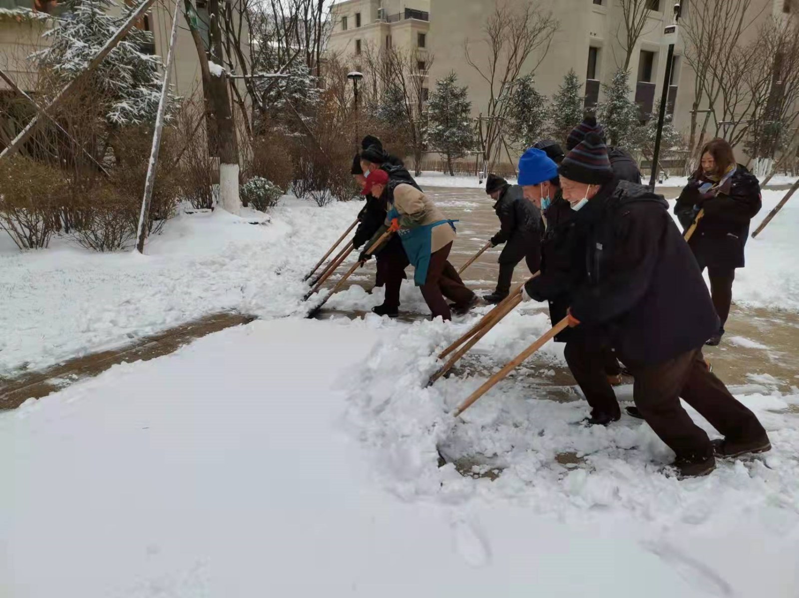 暴雪骤降！哈尔滨物业吹响“集结号”！连夜清雪、紧急迎战！