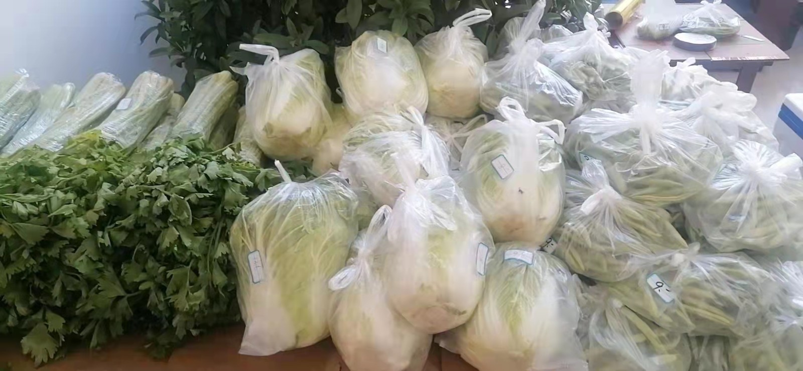 特“蔬”时期，这家物业平价蔬菜配送上门