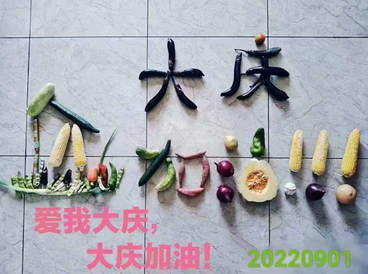 伟大出自平凡——欣汇龙物业筑牢疫情防控线 守望美好