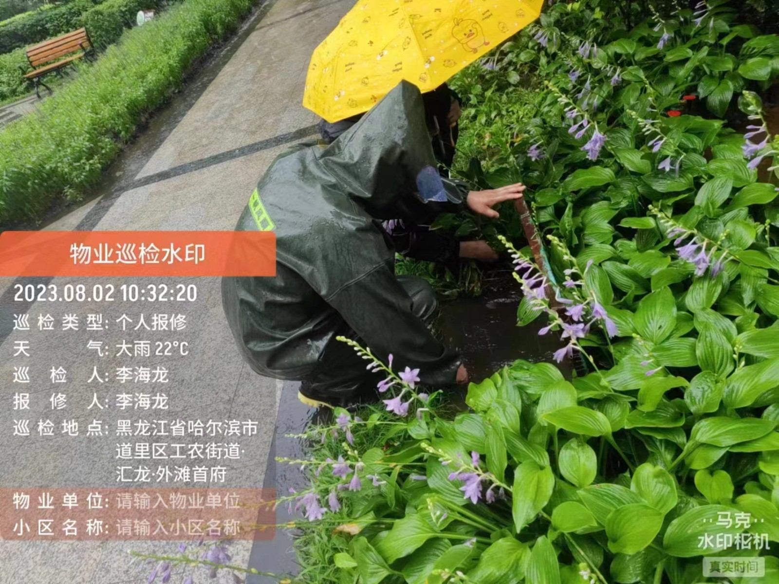 致敬防汛物业人 | 迎战强降雨 哈尔滨物企持续奋战 全力筑牢物业小区防内涝安全防线