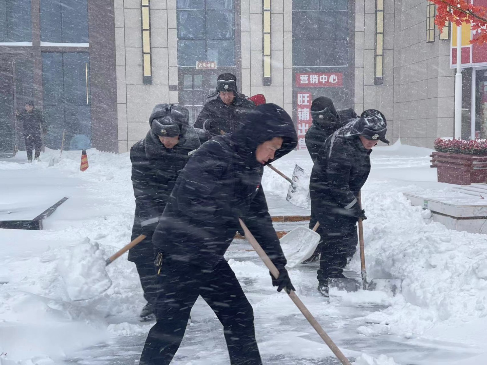抗击暴风雪|欣汇龙物业打响防冻、除冰雪攻坚战！