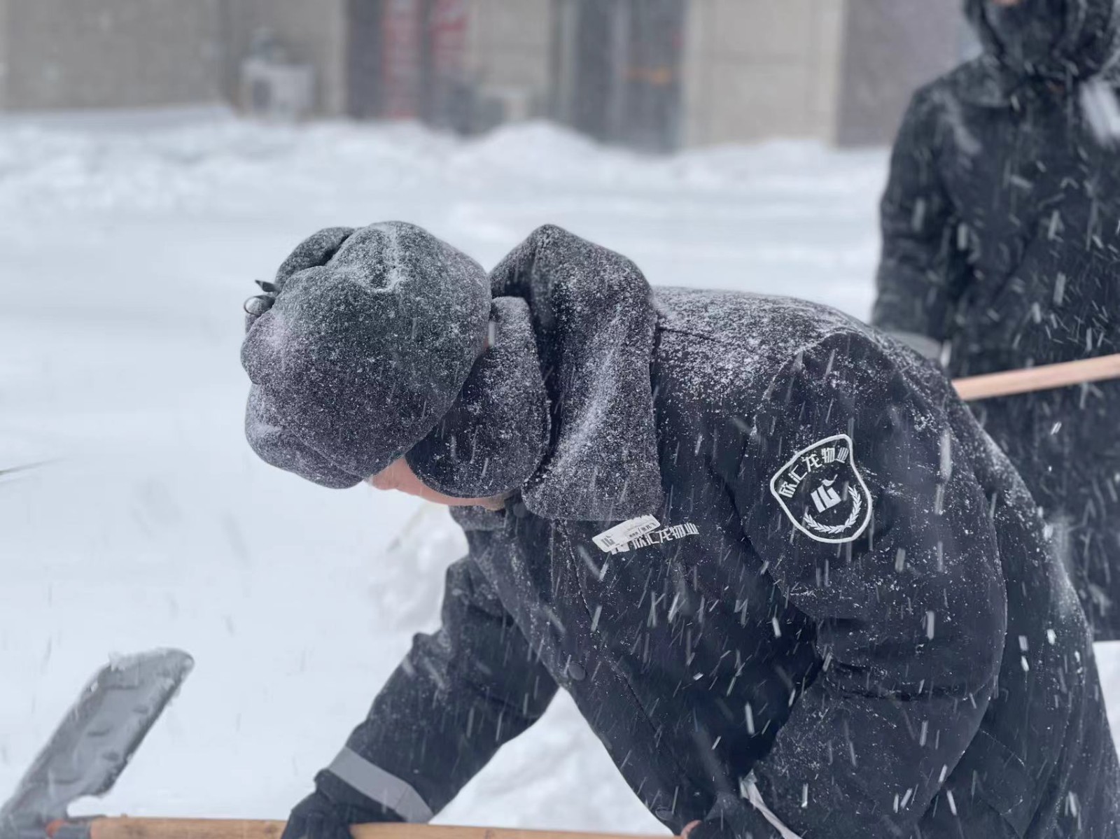 抗击暴风雪|欣汇龙物业打响防冻、除冰雪攻坚战！