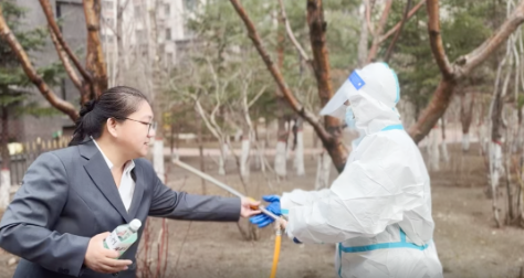 【焕春行动】欣汇龙物业 | 以匠心守护枝叶生长，用专业定格美好瞬间