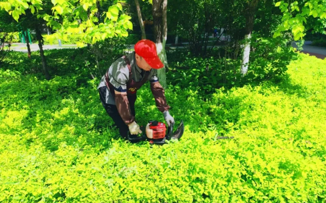 欣汇龙物业 | 赋能绿色社区建设 特邀专家于耀开展园林病虫害防治专项培训
