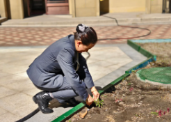 欣汇龙物业 | 科学养护解锁植物生命密码 浇灌返青水进行时
