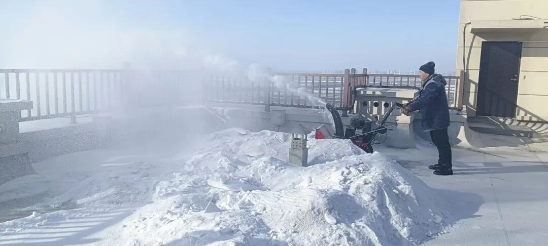 春风化雪焕新颜：欣汇龙物业开展春季环境综合治理专项行动