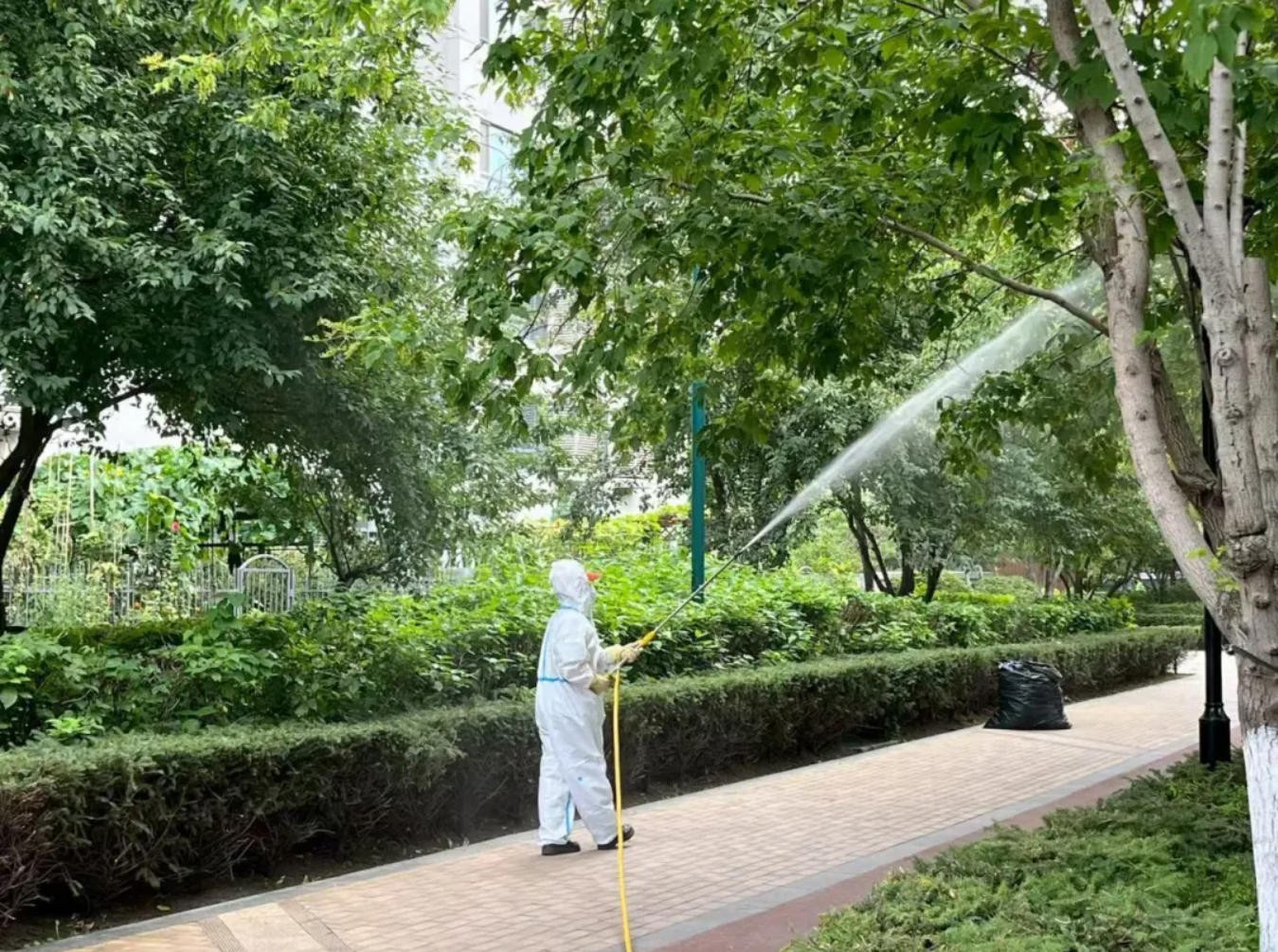 【会员风采】欣汇龙物业 | 予绿植以健康，还家园以秋安 秋季病虫害防治工作纪实