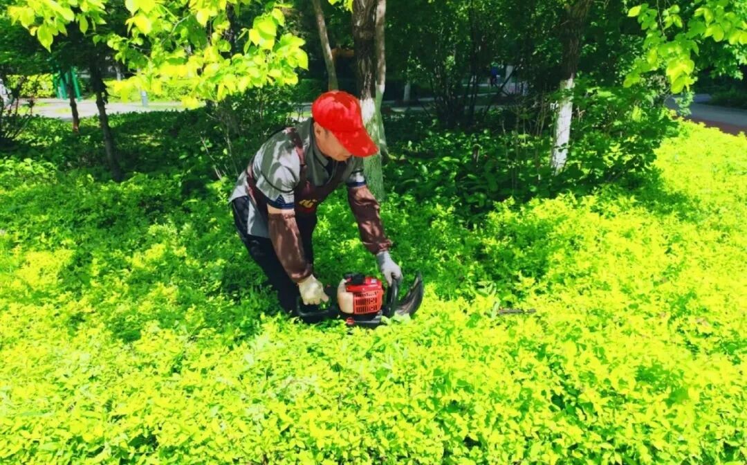 赋能绿色社区建设|欣汇龙物业特邀专家于耀开展园林病虫害防治专项培训