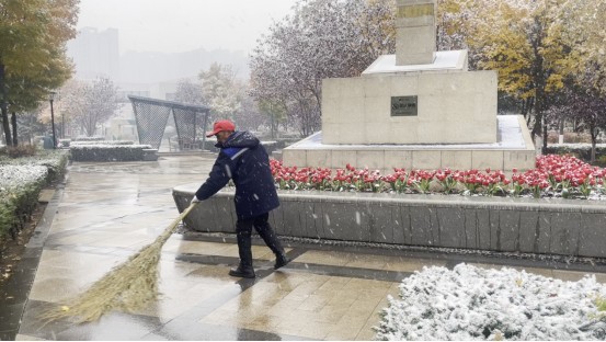 清雪保出行，哈尔滨这些物企在行动